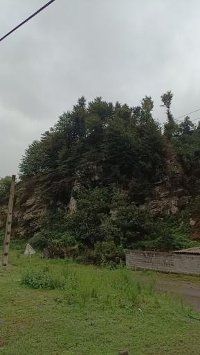 عکس سجیدان