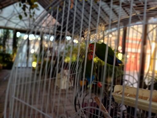 عکس رستوران و تالار باغ عروس