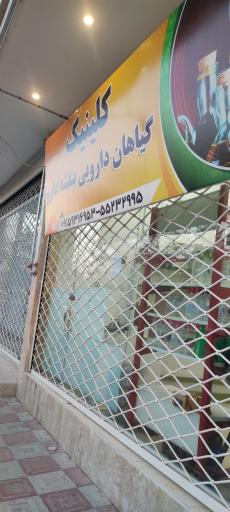 عکس کلینیک گیاهان دارویی بنفشه دارو