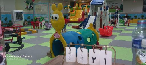 عکس خانه بازی نیکو