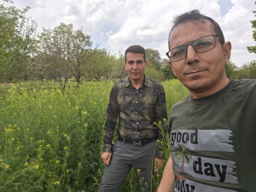 عکس ازندریان