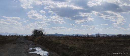 عکس ازندریان