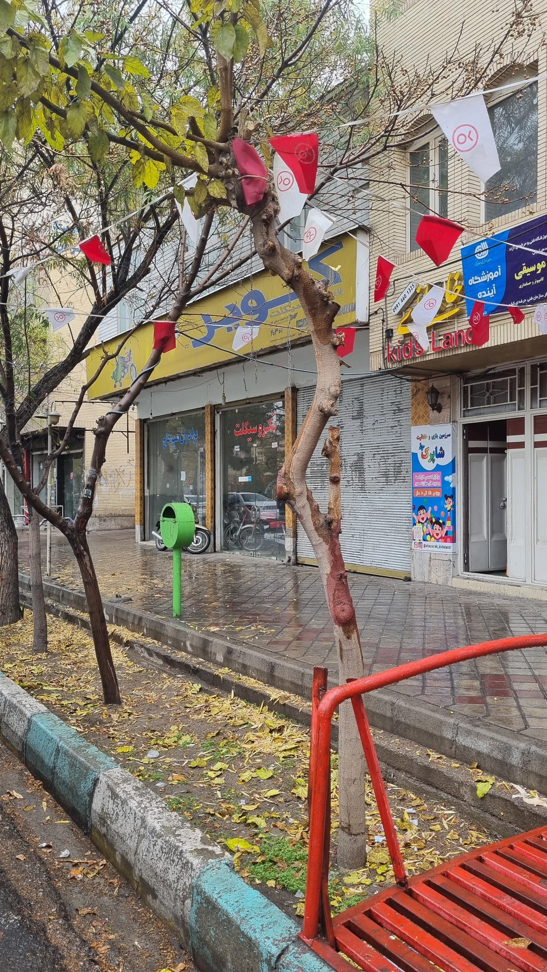عکس خانه کودک شاپرک 