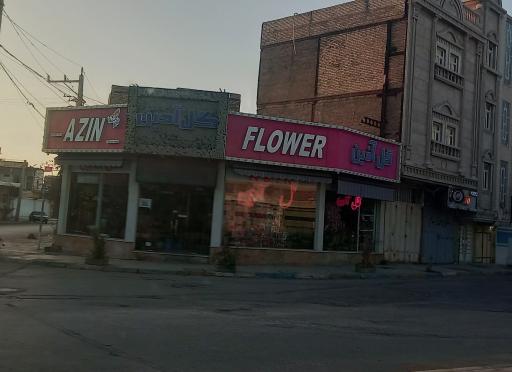 عکس گل سرای آذین