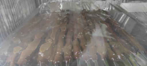 عکس جگرسرای استاد جگر