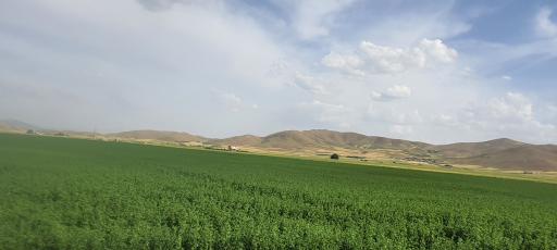 عکس ازندریان