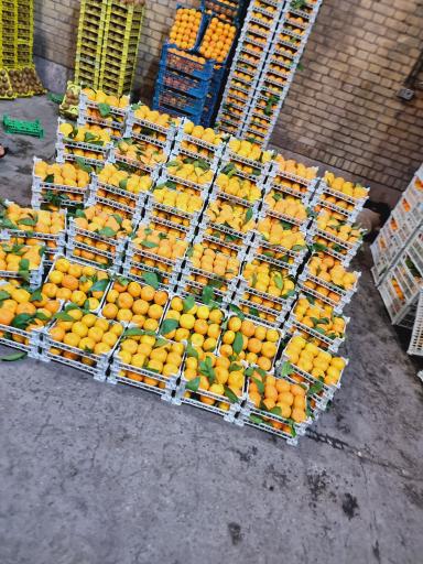 عکس حق العمل کاری شرکت فدک محمدصادق بدیعی نژاد