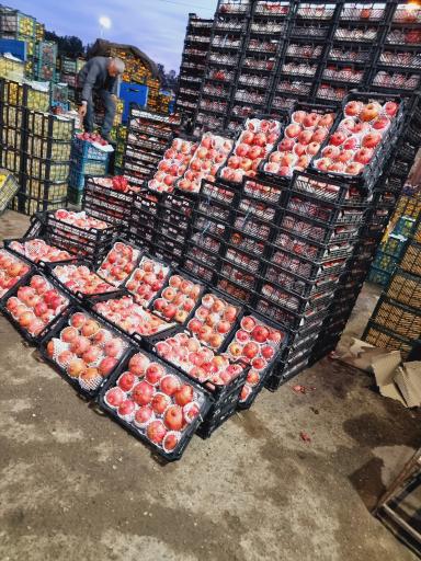 عکس حق العمل کاری شرکت فدک محمدصادق بدیعی نژاد