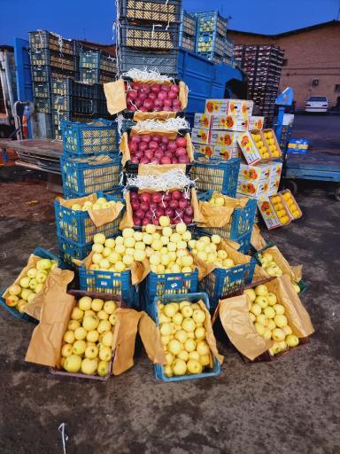 عکس حق العمل کاری شرکت فدک محمدصادق بدیعی نژاد