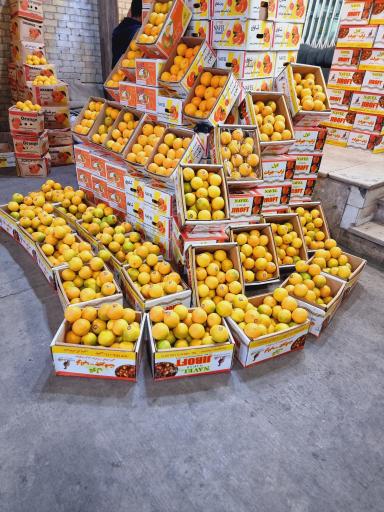 عکس حق العمل کاری شرکت فدک محمدصادق بدیعی نژاد