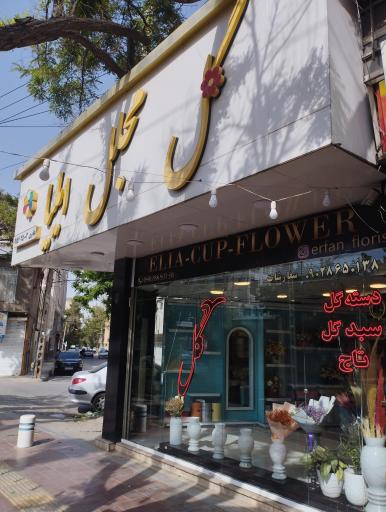 عکس گل مجلل ایلیا (عرفان)