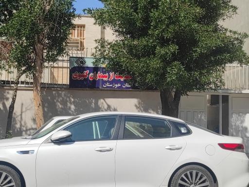 عکس انجمن خیریه حمایت از بیماران کلیوی