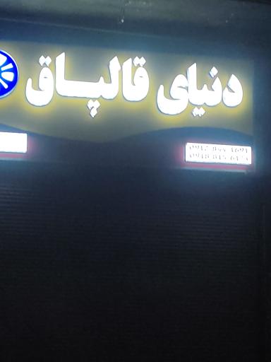 عکس دنیای قالپاق