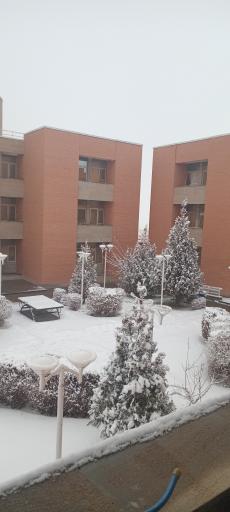 عکس خوابگاه دکتری دانشگاه صنعتی تبریز