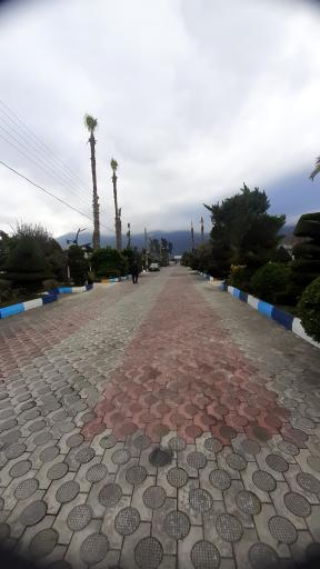 عکس مجتمع گلها (کشتیرانی)