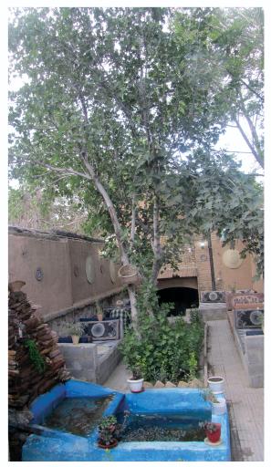 عکس آشپزخانه سنتی باباحیدر 
