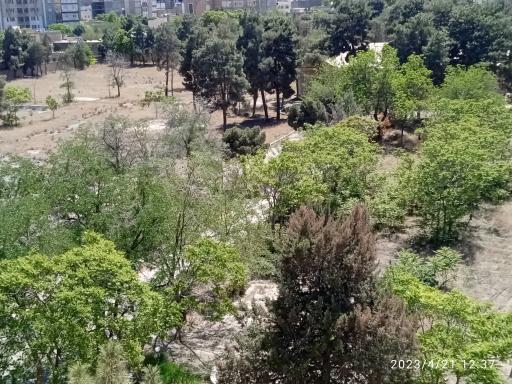 عکس عمارت باغ خونی