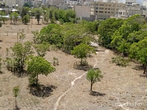 عکس عمارت باغ خونی