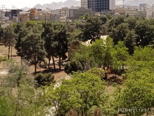 عکس عمارت باغ خونی