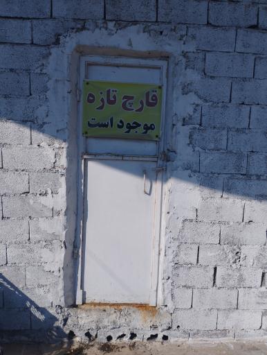 عکس قارچ رئیس