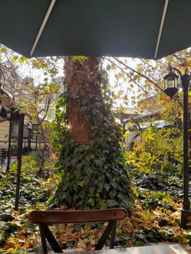 عکس کافه گالری ایوان ربط