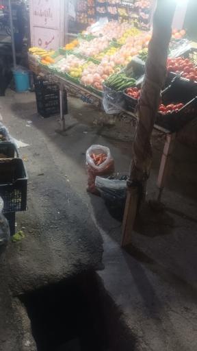 عکس میوه فروشی حسین پور