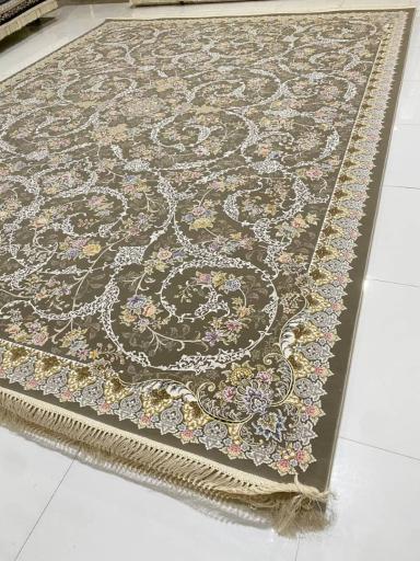 عکس سرزمین فرش آقای کارگر