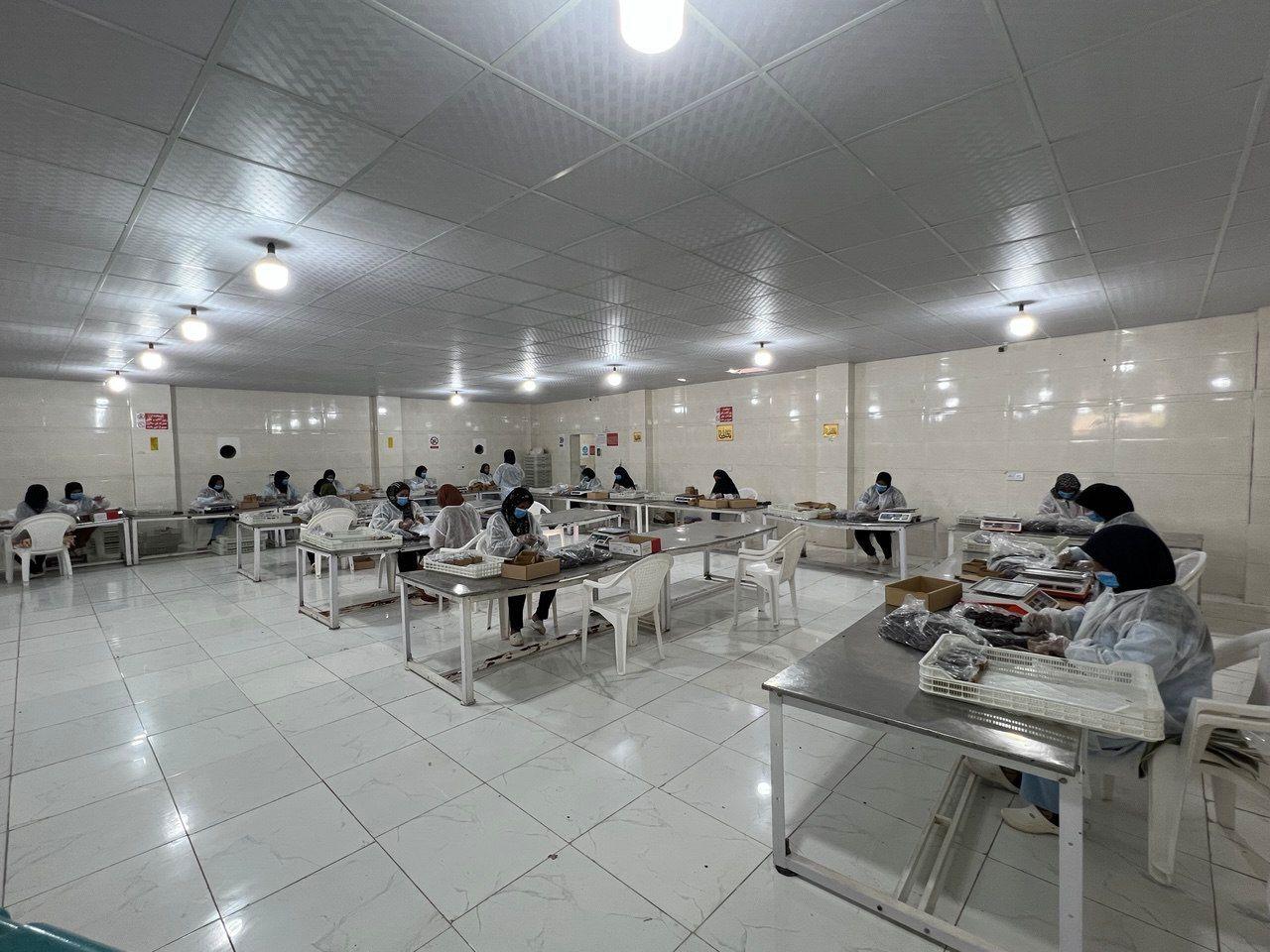 عکس Bashir company 