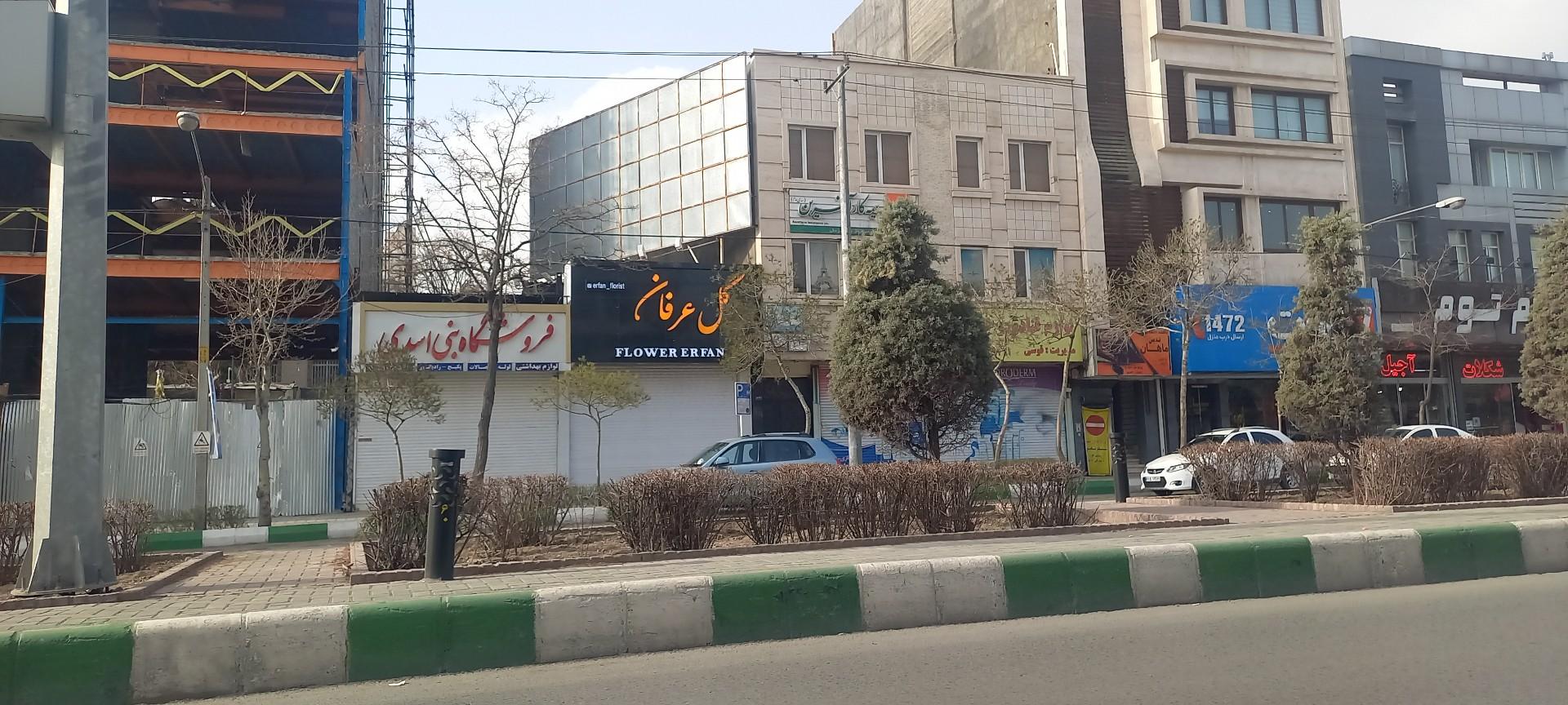 عکس گل عرفان شعبه دو