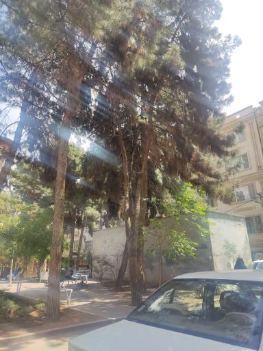 عکس پارک یاس