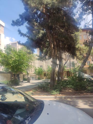 عکس پارک یاس