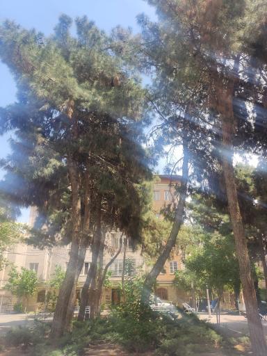 عکس پارک یاس