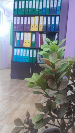 عکس استعلام و صدور آنلاین بیمه