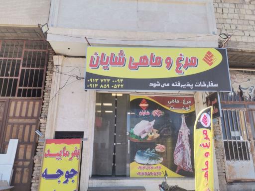 عکس مرغ و ماهی شایان