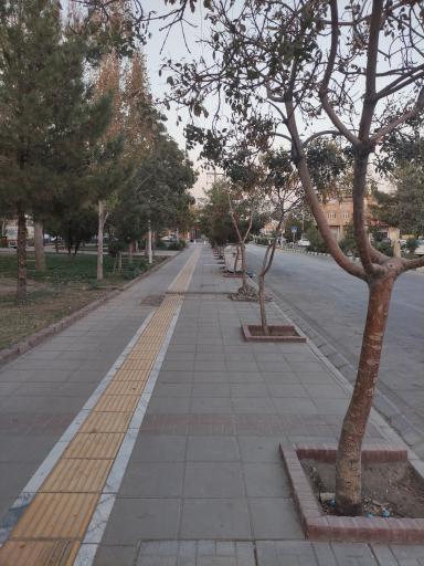 عکس  استاد یوسفی 8