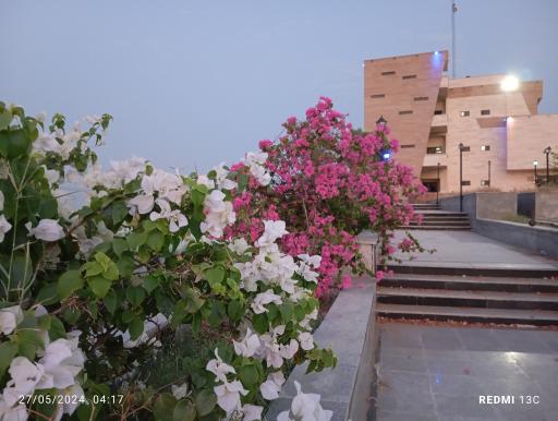 عکس دانشگاه ولایت 