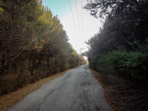 عکس پارک جنگلی حبیب آباد