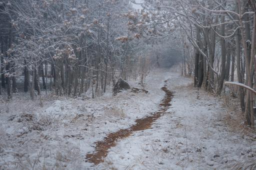 عکس پارک جنگلی حبیب آباد