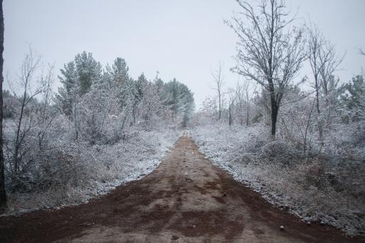 عکس پارک جنگلی حبیب آباد