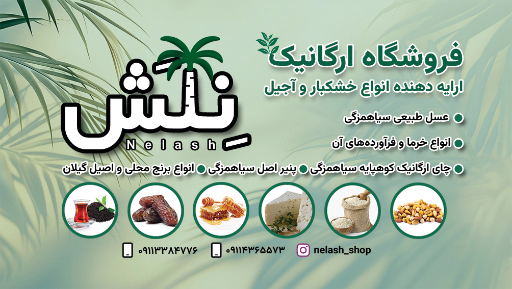 فروشگاه آجیل و خشکبار نلش