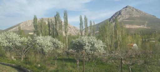 عکس خوجین