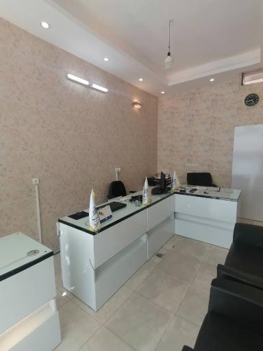 عکس مشاورین املاک آویژه 