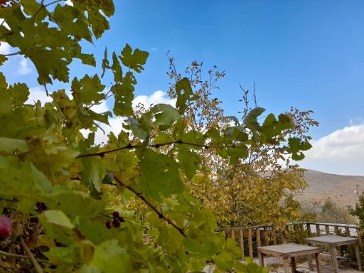 عکس مجموعه گردشگری گیله وا