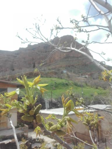 عکس مجموعه گردشگری گیله وا