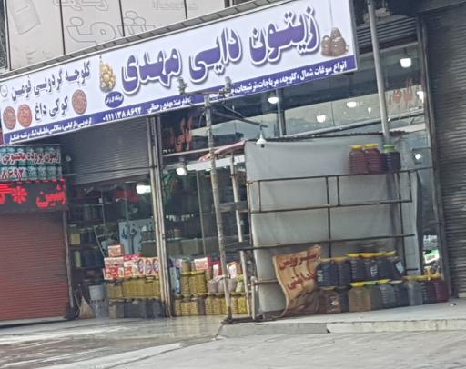 عکس زیتون دایی مهدی