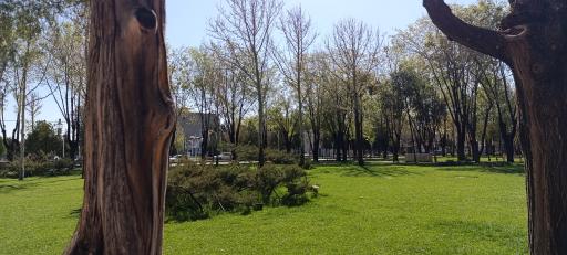 عکس پارک 17 تن