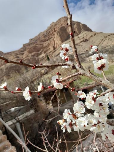 عکس مجموعه گردشگری گیله وا