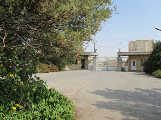 عکس پشم بافی افشار