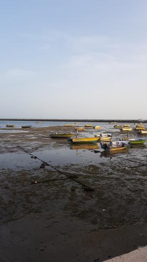 عکس بندر کنگ