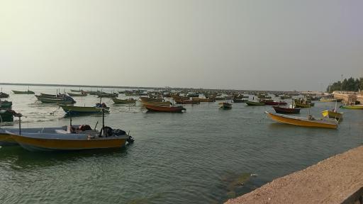 عکس بندر کنگ